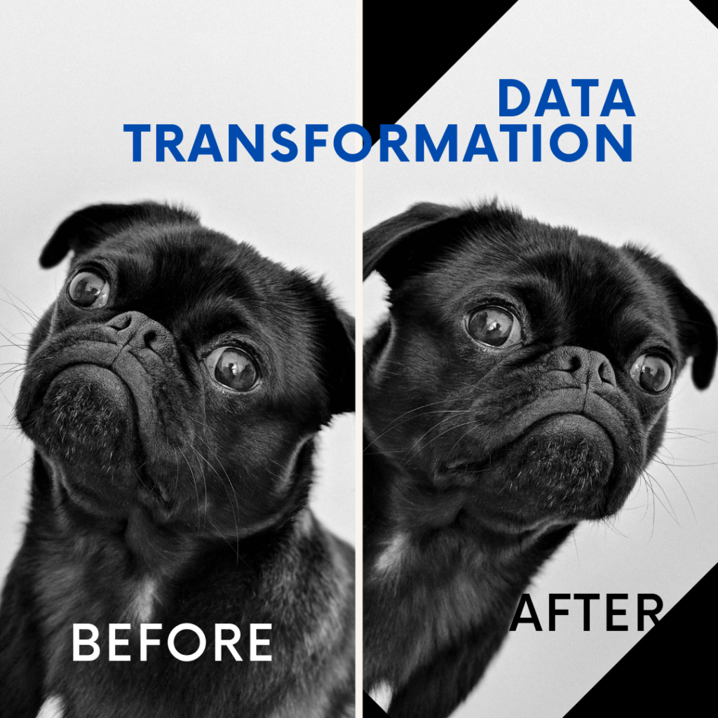 Diagram showing data transformation processes for synthetic data generation.