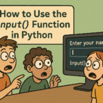 How to Use the input() Function in Python