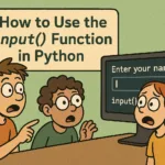 How to Use the input() Function in Python