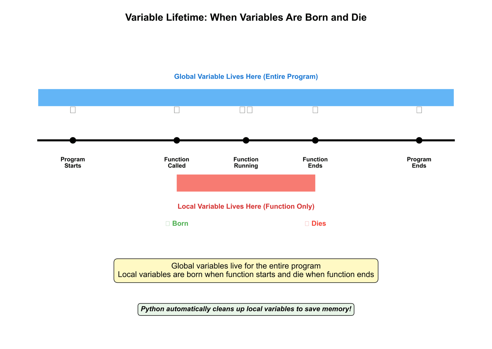 Variable Lifetime When Variables Are Born and Die