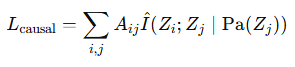 Equation showing causal consistency loss as a weighted sum of conditional mutual information terms, highlighting its dependence on adjacency matrix entries and latent variable relationships.