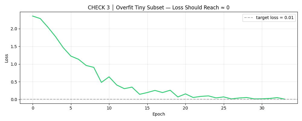 Training loss curve rapidly decreasing toward zero while overfitting a small subset of data.