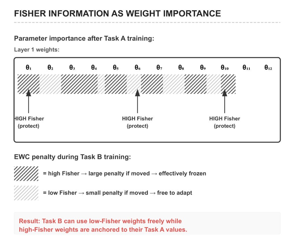 Technical diagram illustrating Elastic Weight Consolidation (EWC) using Fisher Information to identify and protect critical neural network parameters during sequential task training.